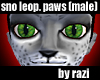 Snow Leopard Paws (M)