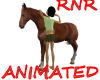 ~RnR~HORSE WALKER 