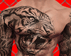 A Tattoo Over Tiger