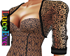 Bronwyn Lace Jacket