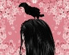 Black Raven: Head