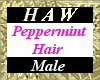 Peppermint Hair - M