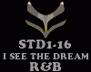 R&B - I SEE THE DREAM