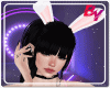 [By] Bunny Ears