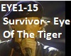 Survivor - Eye Of