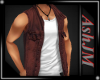 *AJ*Red/brown vest