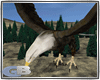 [GB]flying eagle