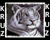 Tiger pic 3