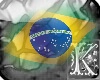 Brazil flag (m/f)