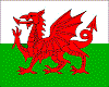 Welsh Dragon/Flag
