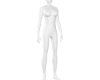 F %120 Height Scaler