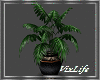 [V] Tropic Plant 1