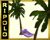 Purple Tropicana Hammock