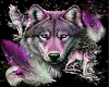 my wifes purple wolf