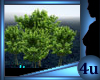 4u Aqulivus Tree 8
