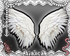 Angel 𖹭 Wing