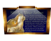 WOLF TOTEM PICTURE