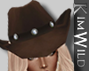 "Pet" Western Hat