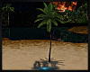 Ⓑ Zuma palm animated