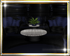 fK Bluez Casual Chairs
