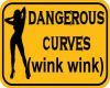 G* Dangerous Curves SH