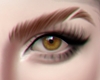 M. Ginger Eyebrow 02