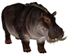 Hippo animated no pose