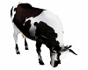 ANIMATED COW