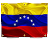 bandera venezolano