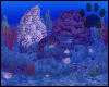 [SB]Mermaid Lagoon