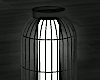 Black Floor  Lamp
