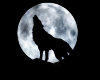 Sticker Wolf 7