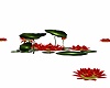 RED LILY PADS