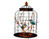 orange bird cage