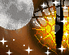 月| Lava Golden M/F
