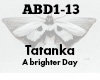 Tatanka A brighter day