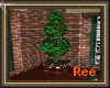 [R]HOLIDAY TOPIARY
