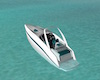 Sugar Isle Speedboat