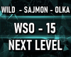 NEXT LEVEL