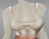 Gold Sleeved Top RL