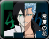 Ulquiorra vs. Grimmjow