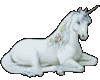 White Unicorn*