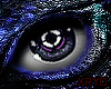 ✘Predatore v5