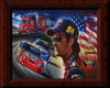jeff gordon picture