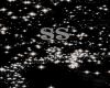 ss flares