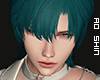 侍. Disorder Hair V5