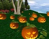 Pumpkin Patch Animated