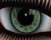 Green Window Eyes ~LC