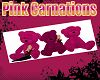 Romancing Pink Bears