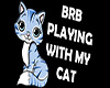 BRBPlaying Cat Headsign